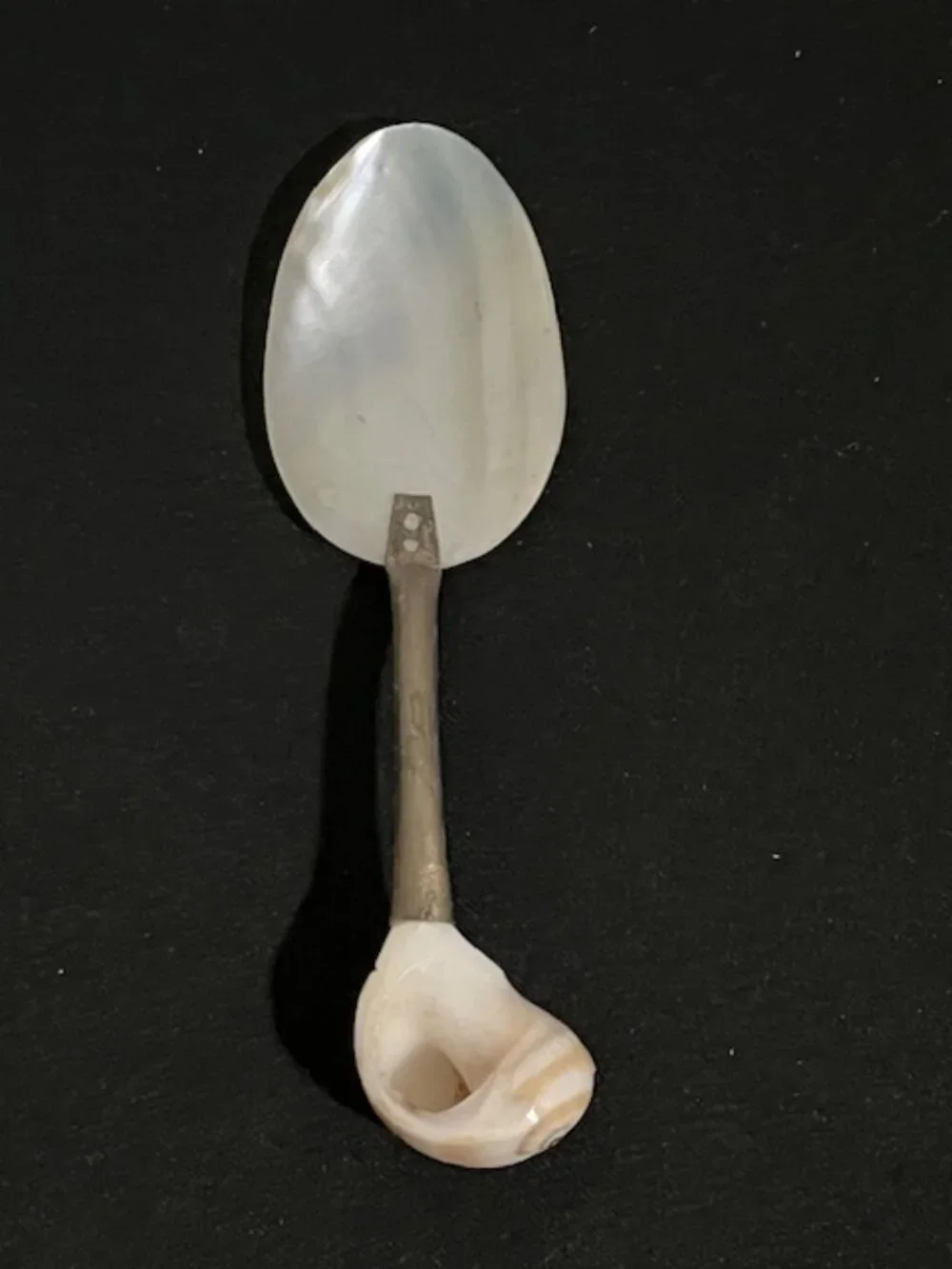Vintage Mother of Pearl Caviar Serving Spoon Silverplate Sea Shell Handle